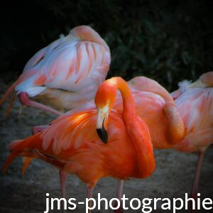 PHOTO-2026-03-12-09-31-40 3